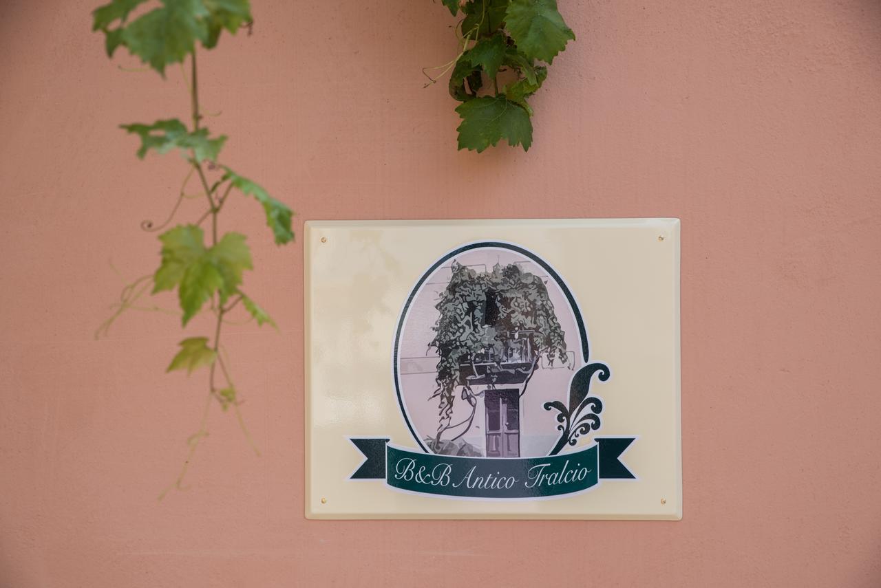 B&B Antico Tralcio Antignano  Εξωτερικό φωτογραφία