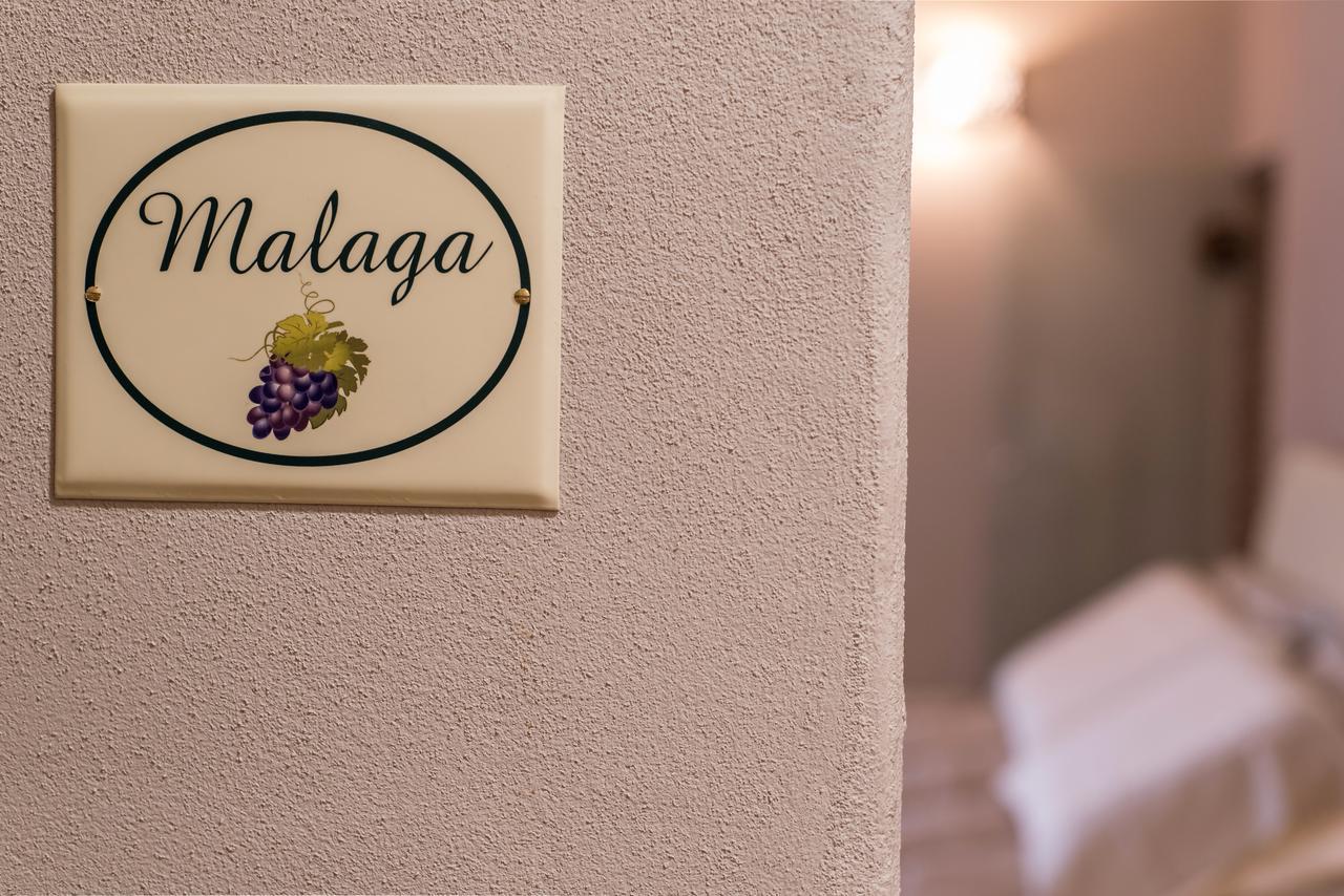 B&B Antico Tralcio Antignano  Εξωτερικό φωτογραφία